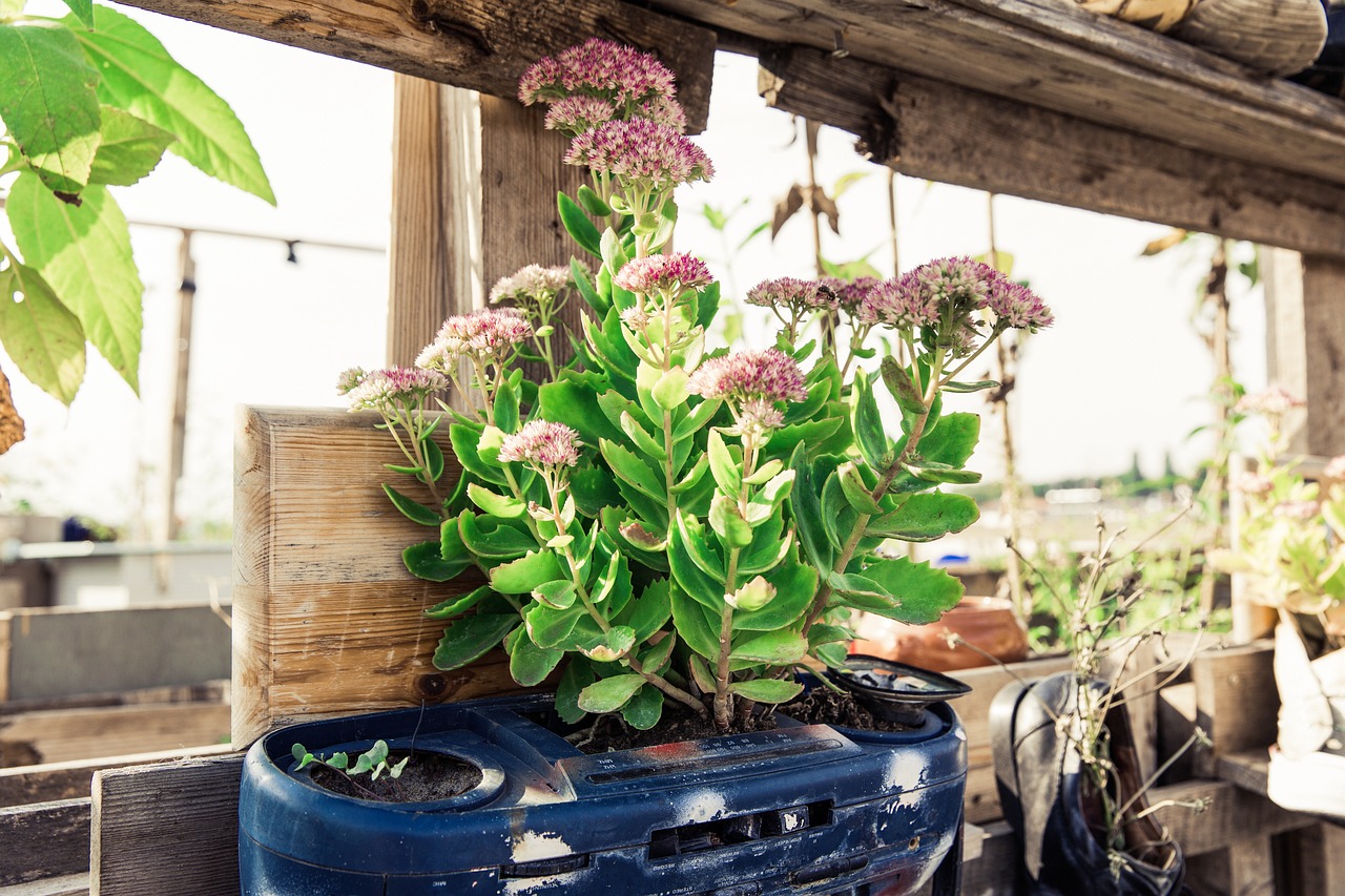 The Role of Wallets in Promoting Sustainable Practices